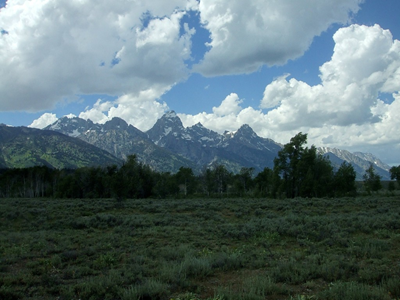 Jackson Hole - July 2010 (94).JPG